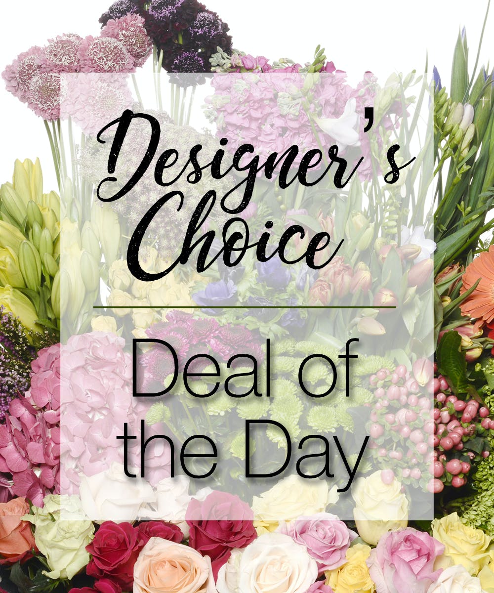 Deal of the Day